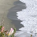 Big Sur Coast Morning Glory by Sandy Rakowitz