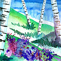 Birch Trees by Curtiss Shaffer Birch Trees by Curtiss Shaffer