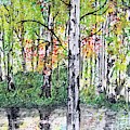 Birch Trees In The Fall by Kathy Marrs Chandler Birch Trees In The Fall by Kathy Marrs Chandler