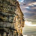 Bird in the Light at the Pictured Rocks by William Christiansen