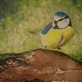 Bird by Themayart