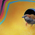 Birdhouse Bohemian by Nikolyn McDonald
