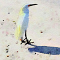Birdie Bird Digital Art by Nancy Olivia Hoffmann Birdie Bird Digital Art by Nancy Olivia Hoffmann
