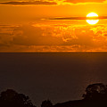 Birds in the sunrise by Jeremy Hayden