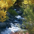 Fall Color and Sun Rays on Bishop Creek Photograph by Bonnie Colgan Fall Color and Sun Rays on Bishop Creek Photograph by Bonnie Colgan