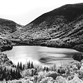 Black And White Arist Bluff Photograph by Dan Sproul Black And White Arist Bluff Photograph by Dan Sproul