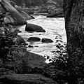 Black And White Cumberland River Photograph by Phil Perkins Black And White Cumberland River Photograph by Phil Perkins