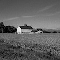 Black and White Farmstand by David Bearden Black and White Farmstand by David Bearden