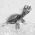 Black and White Sea Turtle on Beach Digital Art by Pamela Williams Black and White Sea Turtle on Beach Digital Art by Pamela Williams