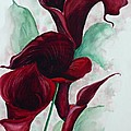 Black Callas by Karin Dawn Kelshall- Best Black Callas by Karin Dawn Kelshall- Best