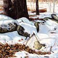 Blankets of Snow by Shana Rowe Jackson