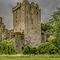 Blarney Castle Photograph by Marcy Wielfaert Blarney Castle Photograph by Marcy Wielfaert