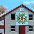 Bless this Farm by Kathi Isserman
