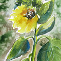 Bloom Where You are Planted by Kellie Chasse