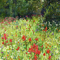 Blooming Field Painting by Hailey E Herrera Blooming Field Painting by Hailey E Herrera