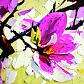 Blooming magnolias painting by Tatiana Travelways