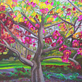 Blooming Tranquility by Ofra Wolf