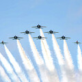 Blue Angels and Thunderbirds in Formation by Beachtown Views