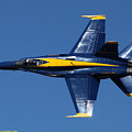 Blue Angels Solo Knife-edge Photograph by Custom Aviation Art Blue Angels Solo Knife-edge Photograph by Custom Aviation Art
