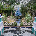 Blue Christmas by Kristopher Schoenleber