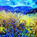Blue cornflowers 67 Painting by Pol Ledent Blue cornflowers 67 Painting by Pol Ledent