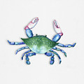 Blue, Green, Red Crab Painting by Michele Fritz Blue, Green, Red Crab Painting by Michele Fritz