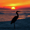 Blue Heron Beach Sunset Photograph by Beachtown Views Blue Heron Beach Sunset Photograph by Beachtown Views