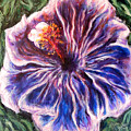 Blue Hibiscus Painting by John Bohn Blue Hibiscus Painting by John Bohn