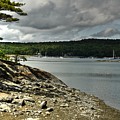 Blue Hill Harbor by Steve Brown