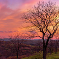 Blue Hour Sunset Trexler Nature Preserve Photograph by Jason Fink Blue Hour Sunset Trexler Nature Preserve Photograph by Jason Fink