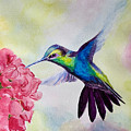 Blue Hummingbird Painting by Tracy Hutchinson Blue Hummingbird Painting by Tracy Hutchinson