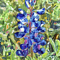 Blue in Bloom-pastel colors Painting by Hailey E Herrera Blue in Bloom-pastel colors Painting by Hailey E Herrera