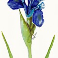 Blue Me Painting by George Cret Blue Me Painting by George Cret