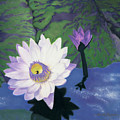 Blue Moon Lotus Painting by Sheilah Renaud Blue Moon Lotus Painting by Sheilah Renaud