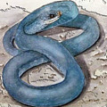 Blue Racer Snake Painting by Kelly Mills Blue Racer Snake Painting by Kelly Mills