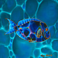 Blue Surgeonfish Painting by Daniel Jean-Baptiste Blue Surgeonfish Painting by Daniel Jean-Baptiste