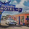 Blue Swallow by Jim Mathis
