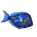 Blue Tang white background Painting by Daniel Jean-Baptiste Blue Tang white background Painting by Daniel Jean-Baptiste