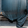 blue tarp again I Photograph by Kreddible Trout blue tarp again I Photograph by Kreddible Trout