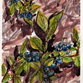 Blueberries and Pine Needles by Tammy Nara