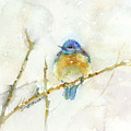 Bluebird in snow Painting by Rebecca Matthews Bluebird in snow Painting by Rebecca Matthews