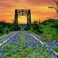 Bluebonnet at Railroad Tracks Sunrise Vertical Photograph by Bee Creek Photography - Tod and Cynthia Bluebonnet at Railroad Tracks Sunrise Vertical Photograph by Bee Creek Photography - Tod and Cynthia