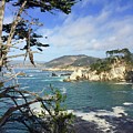 Bluefish Cove Point Lobos Photograph by Luisa Millicent Bluefish Cove Point Lobos Photograph by Luisa Millicent