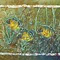 Bluegills Three by Sue Duda Bluegills Three by Sue Duda