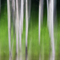 Blurred Reflection Photograph by Melissa Southern Blurred Reflection Photograph by Melissa Southern