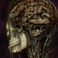 Anatomical Surrealism Bob Orsillo Thought-Provoking Fine Art Print 'Brains by Bob Orsillo