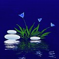 Bob Orsillo Digital Painting - Water Garden Harmony - Blue Flowers and White Stones by Bob Orsillo