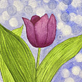 Bokeh Tulip Painting by Lisa Neuman Bokeh Tulip Painting by Lisa Neuman
