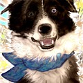 Sweet Border Collie Mixed Media by Pamela Calhoun Sweet Border Collie Mixed Media by Pamela Calhoun