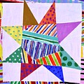 Border Star by Cyndie Katz